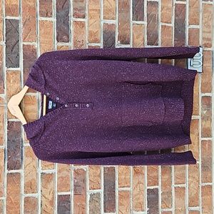 Patagonia Hooded Sweater